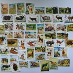 Assorted wildlife postage stamp collage